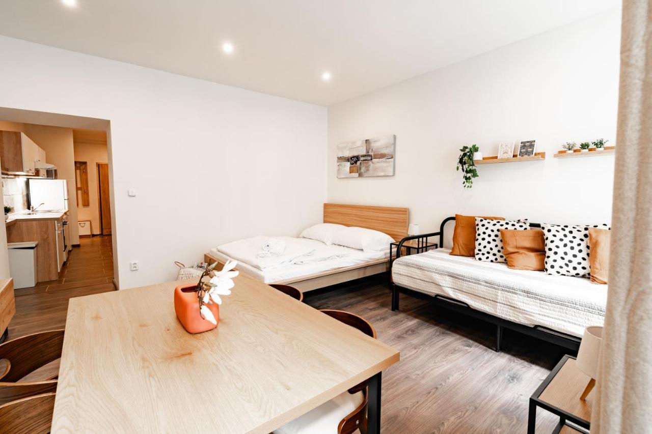 Apartment Internesto Luzanky *