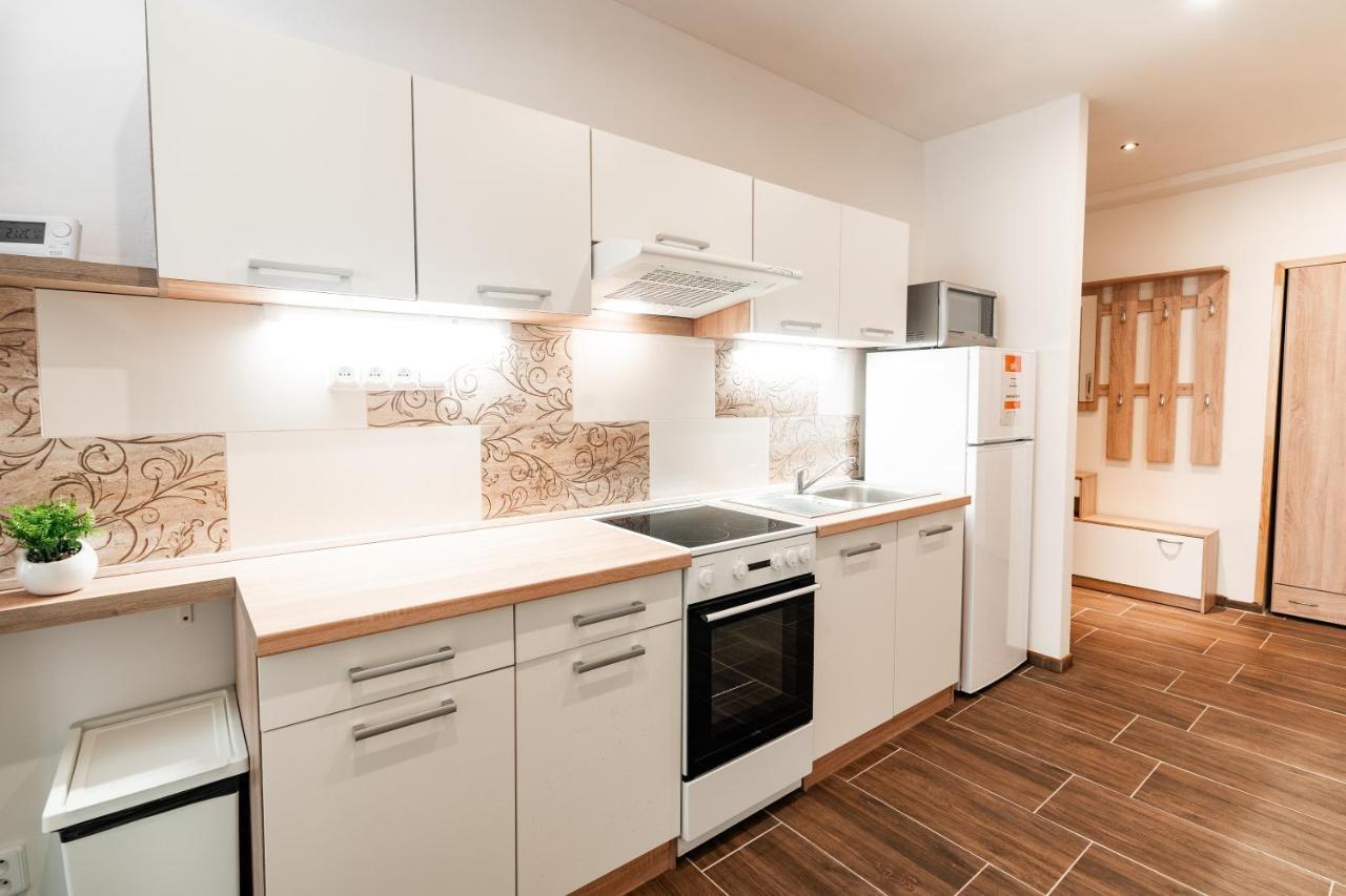 Internesto Luzanky Apartment Brno