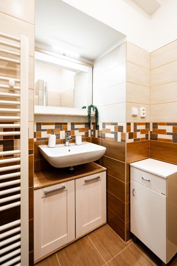 Apartment Internesto Luzanky Brno